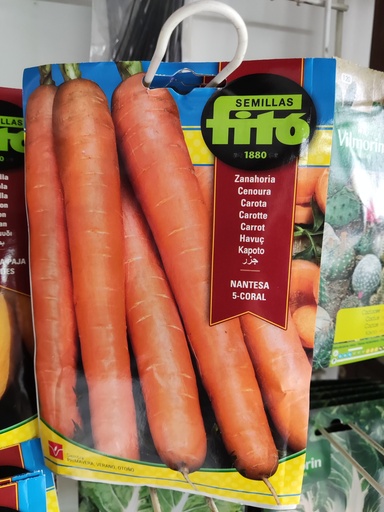Semillas Zanahoria